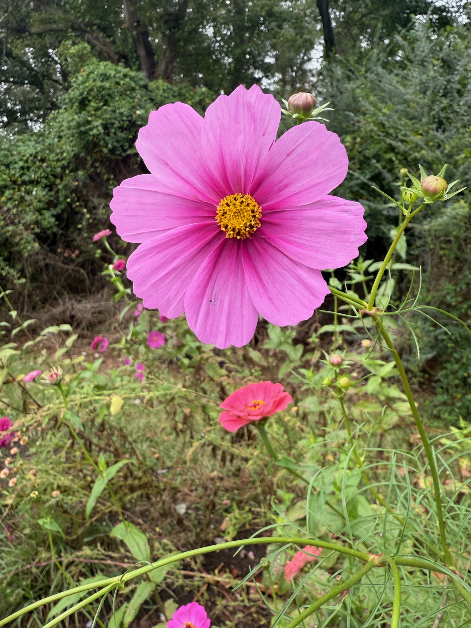 Bi-Monthly Blooms bouquet
