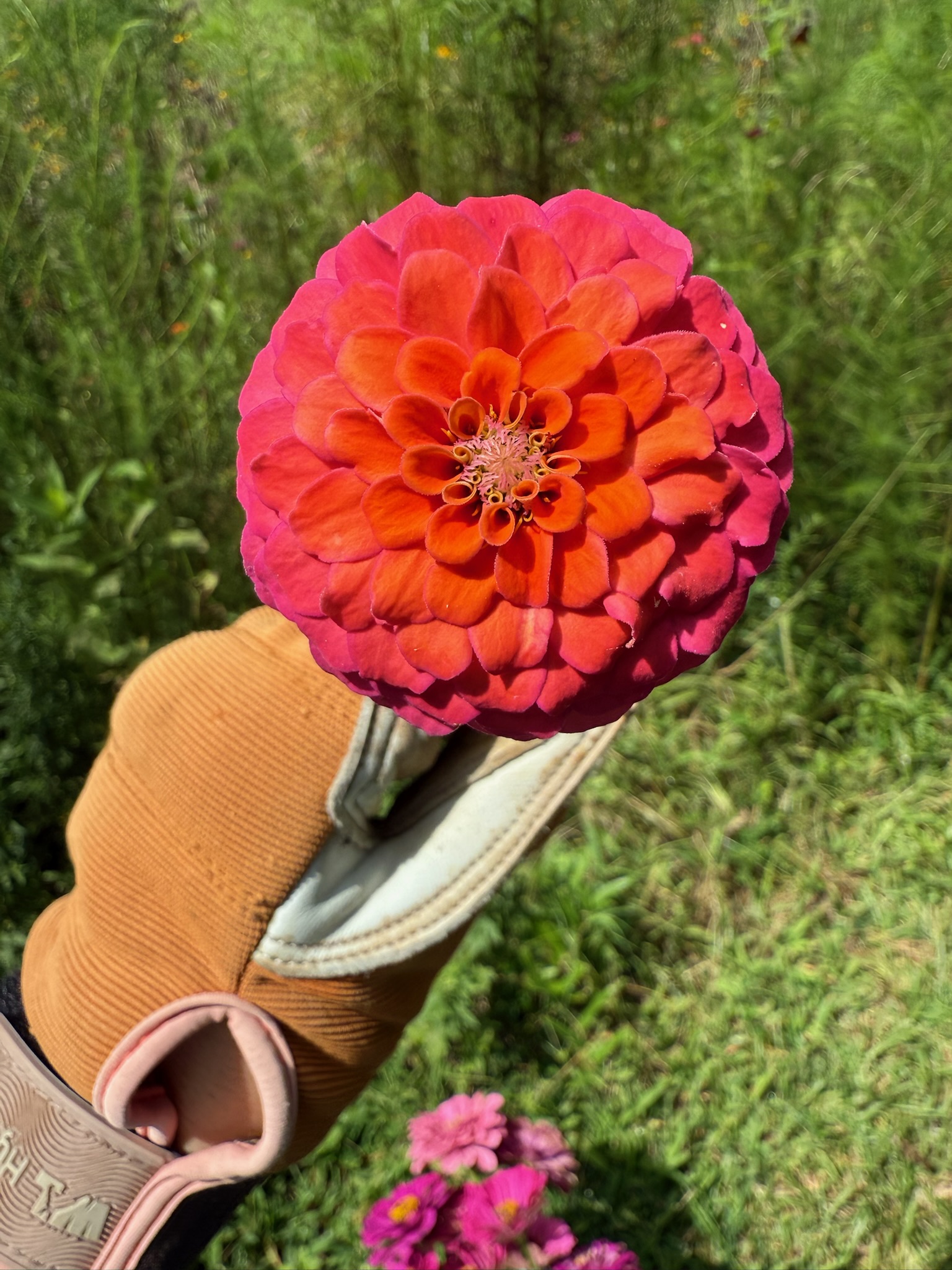 Bi-Monthly Blooms bouquet