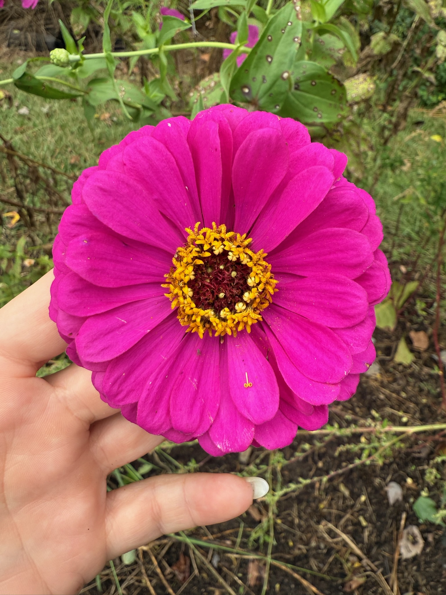 Bi-Monthly Blooms bouquet