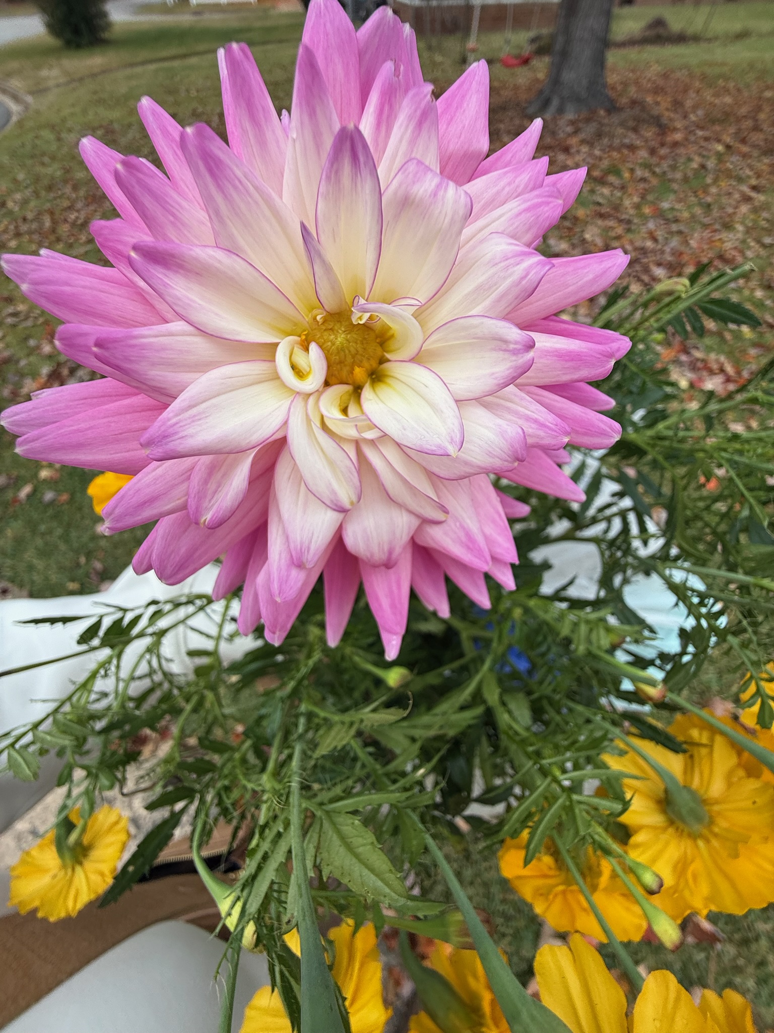 Bi-Monthly Blooms bouquet